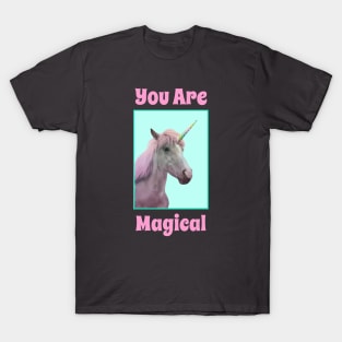 You Are Magical, The Fairy Magical Unicorn T-Shirt